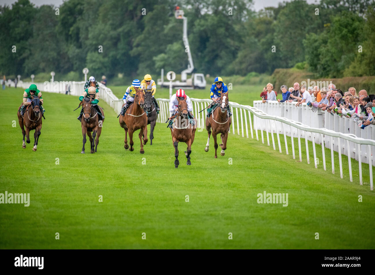 Pferderennen in Ripon Rennen in England Stockfoto