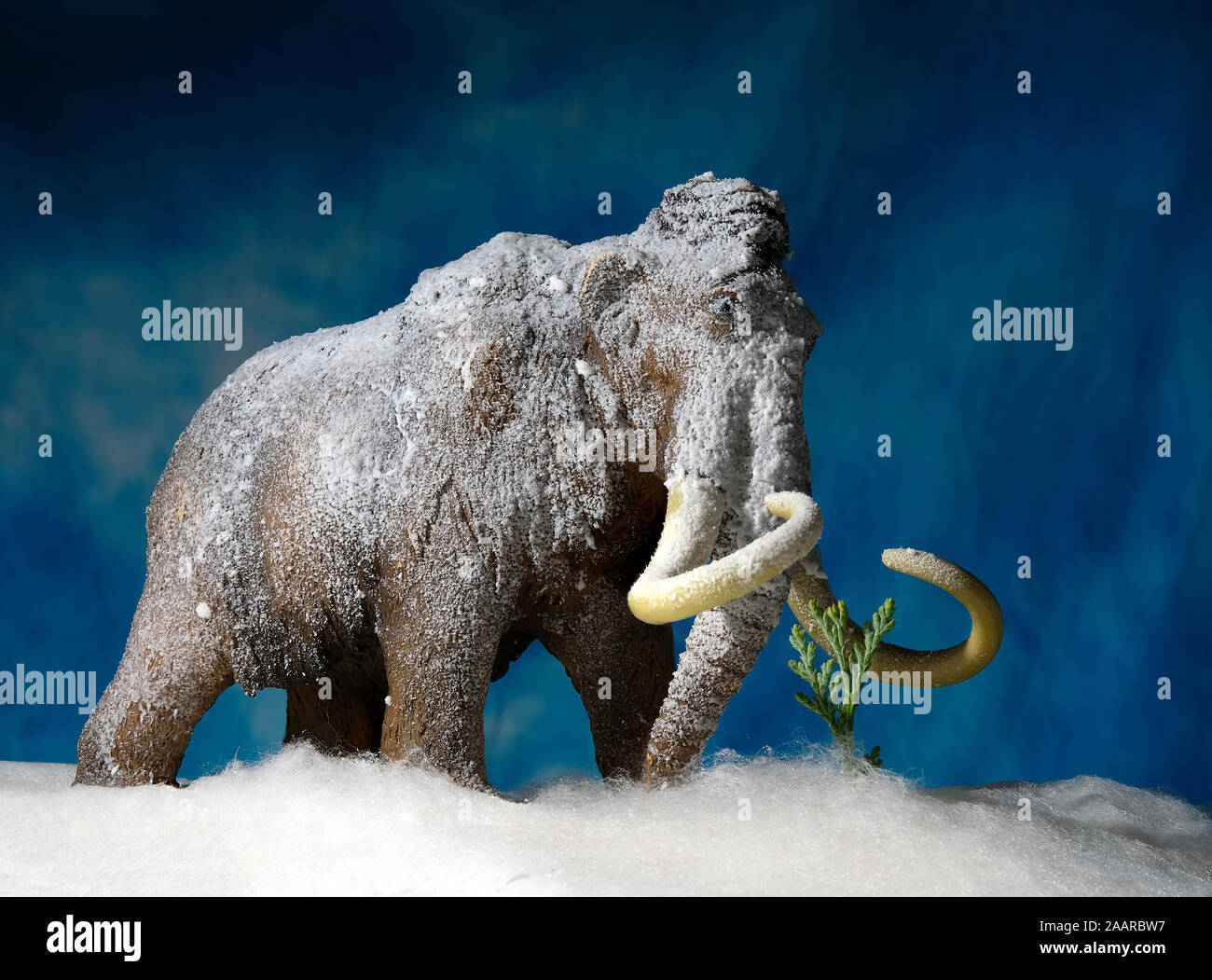 Isolierte Eiszeit Mammut Kopf auf Anzeigen Stockfoto