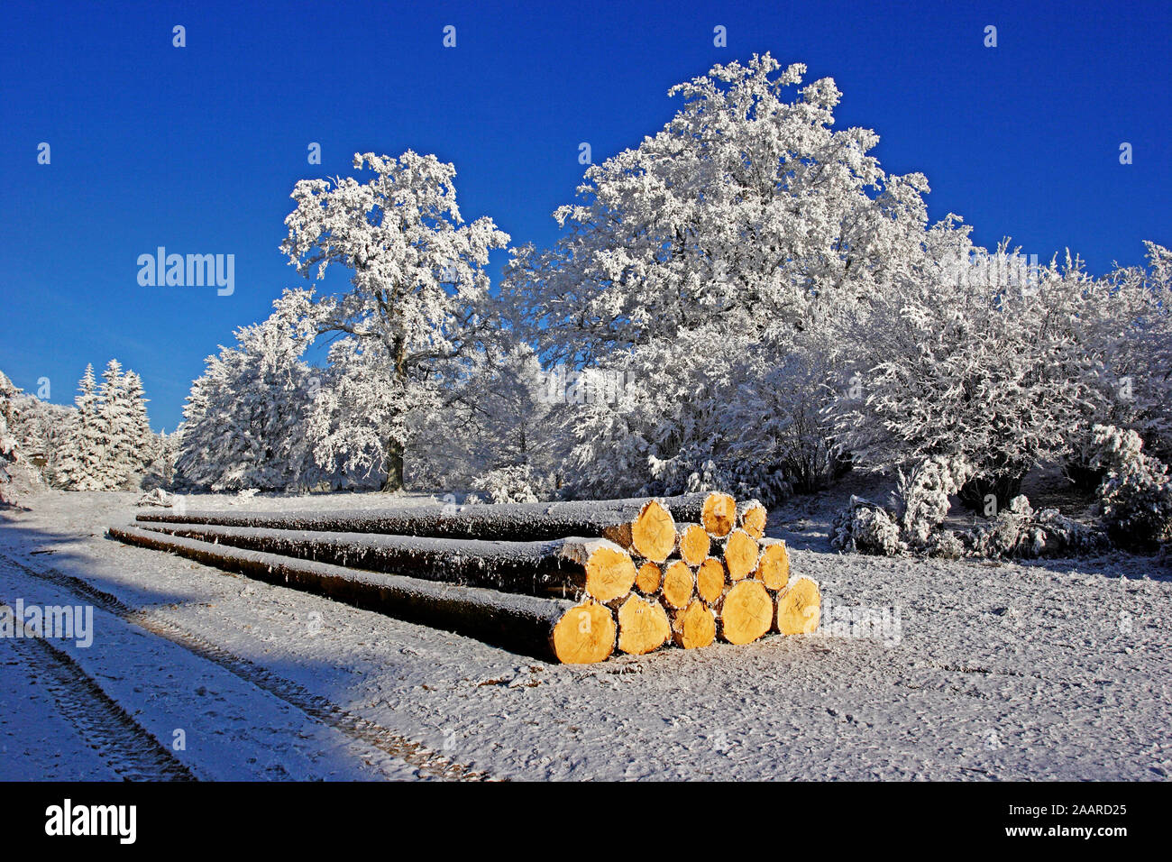 Naturschutzgebiet Dellenhäule im Winter mit Raureif Stockfoto