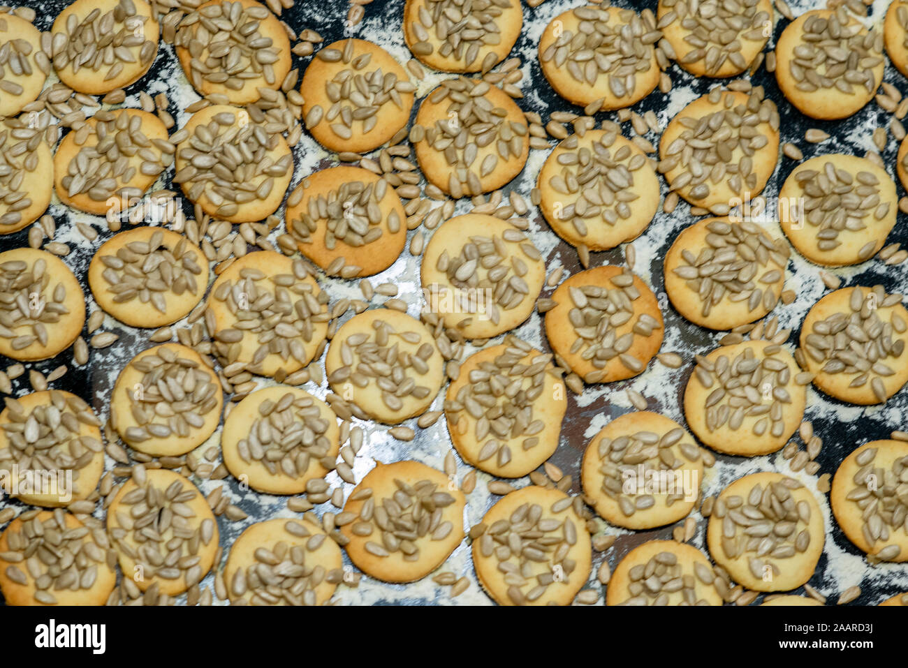 Flach Fach hausgemachte Cookies mit Sonnenblumenkernen nachfüllen. Frisch aus dem Ofen. Stockfoto