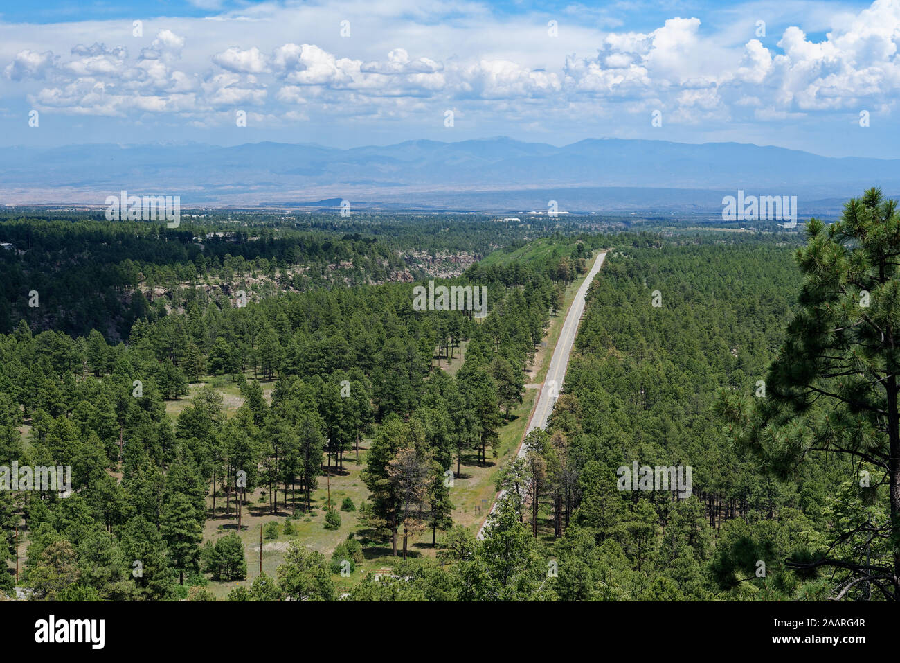 Jemez Mountain Trail National Scenic Byway in der Nähe von Jemez Springs, New Mexico Stockfoto
