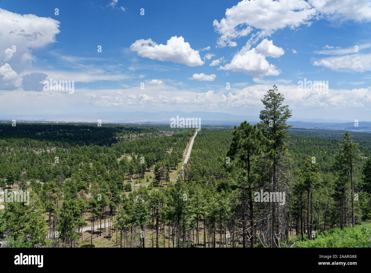 Jemez Mountain Trail National Scenic Byway in der Nähe von Jemez Springs, New Mexico Stockfoto