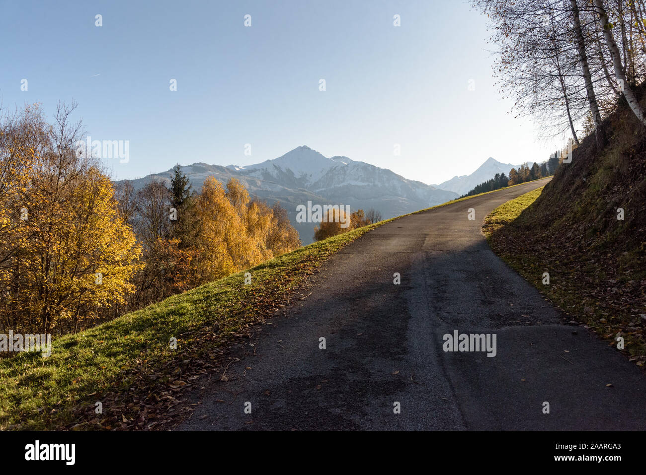 Street- und Wanderweg im Herbst, den Keilberg, Schmittenhöhe in Schüttorf, mit Höhepunkt im Hintergrund Kitzsteinhorn, Zell am See, Salzburger Land Stockfoto