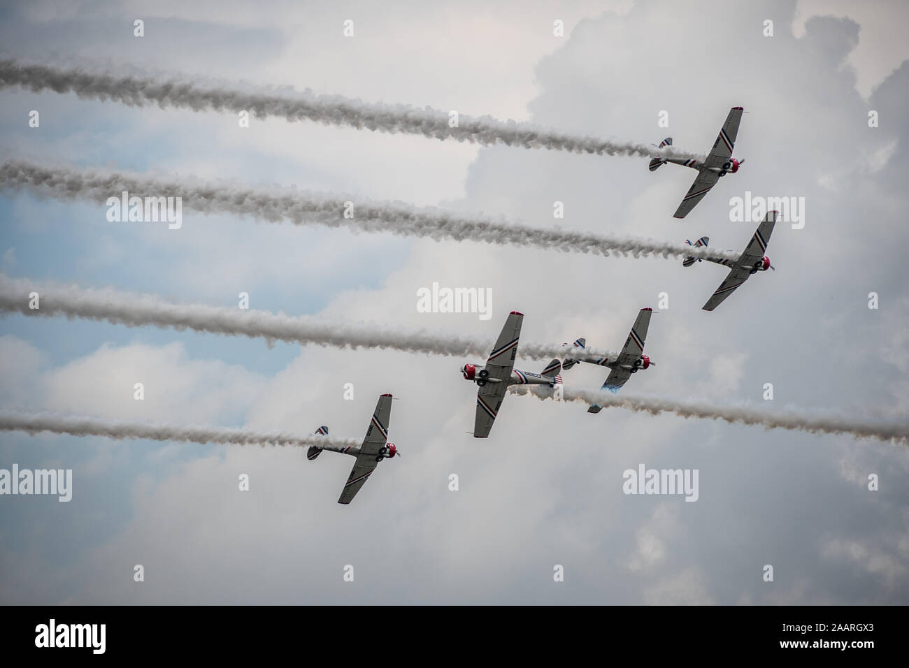 Gieco Skytypers North American T6 Harvard - Geico Skytypers Air Show Team Stockfoto