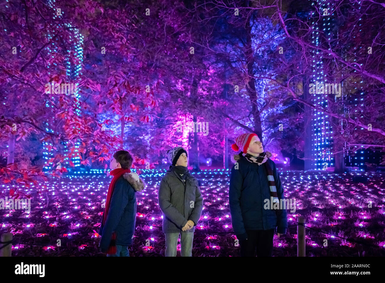 London, Großbritannien. 19. Nov 2019. Weihnachten bei Kew Winter Lights multi-sensorischen Installationen. Credit: Guy Corbishley/Alamy leben Nachrichten Stockfoto