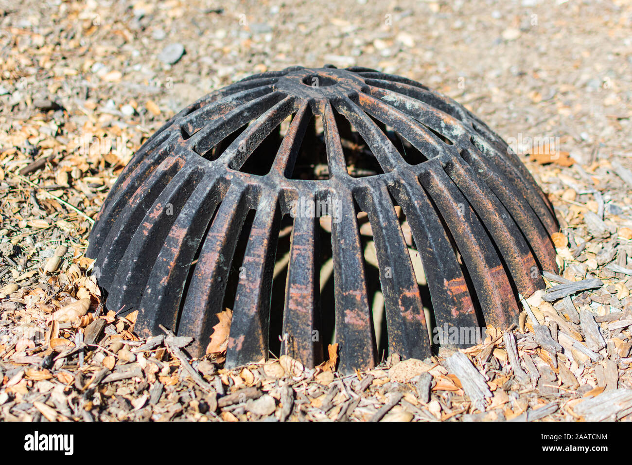 Auffangbecken atrium Gitter über Sturm das Wasser ablassen, indem der Mulch umgeben. Atrium Roste sind ideal für Pflanzmaschine Betten, Mulch, Fenster, Brunnen, und Bereiche pr Stockfoto