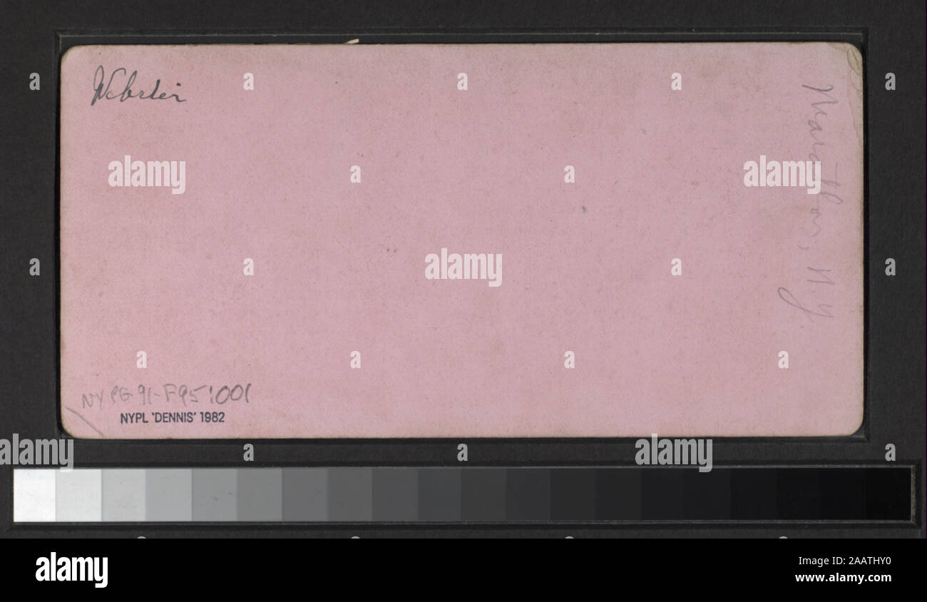 Anzeige von Steppdecken mit Blick von W. L. Sutton, E.&HT Anthony, W. L. Hall und andere Fotografen und Verlage. Robert Dennis Sammlung von stereoskopische Ansichten. Titel von Cataloger'. Blick auf das südliche Reihe von New York einschließlich Broome, Chenango, Cortland, Schuyler, Steuben Tioga und Tompkins Grafschaften; Norwich, einschließlich gruppenporträts, Marathon, einschließlich einer Darstellung der Quilts; Homer, einschließlich einer Akademie; Kutabali; Molkerei Operations bei Düren; Kommissionierung Hopfen in Otsego; das gas Haus am Waverly, Dam und fällt bei Fall Creek; Red Rock Ölderrickkräne; Cayuta Glen; Leute fahren, Stockfoto