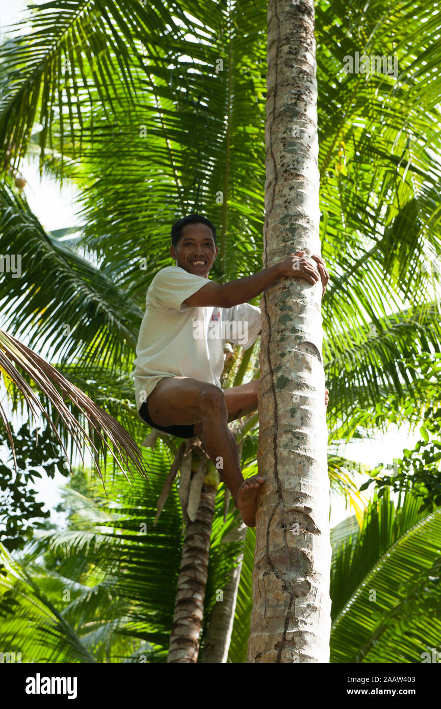 Coral Triangle Stockfoto