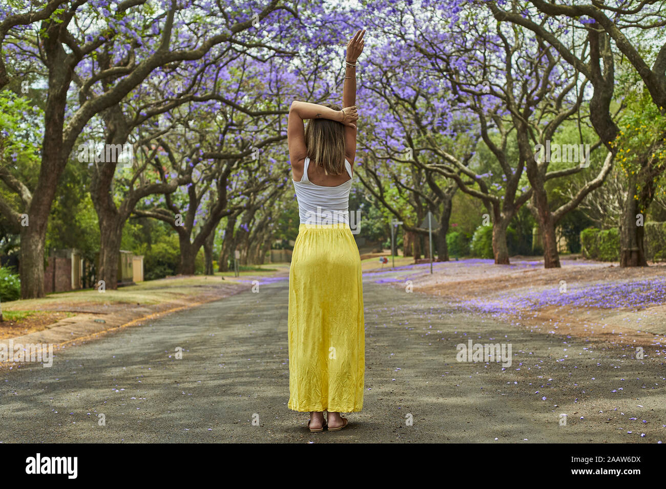 Die Frau in der Mitte einer Straße voller Jacaranda Bäume in Blüte, Pretoria, Südafrika Stockfoto