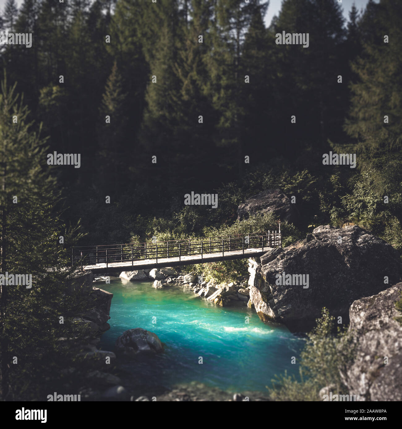 Fußgängerbrücke über den Fluss Mallero gegen Bäume im Wald, Lombardei, Italien Stockfoto