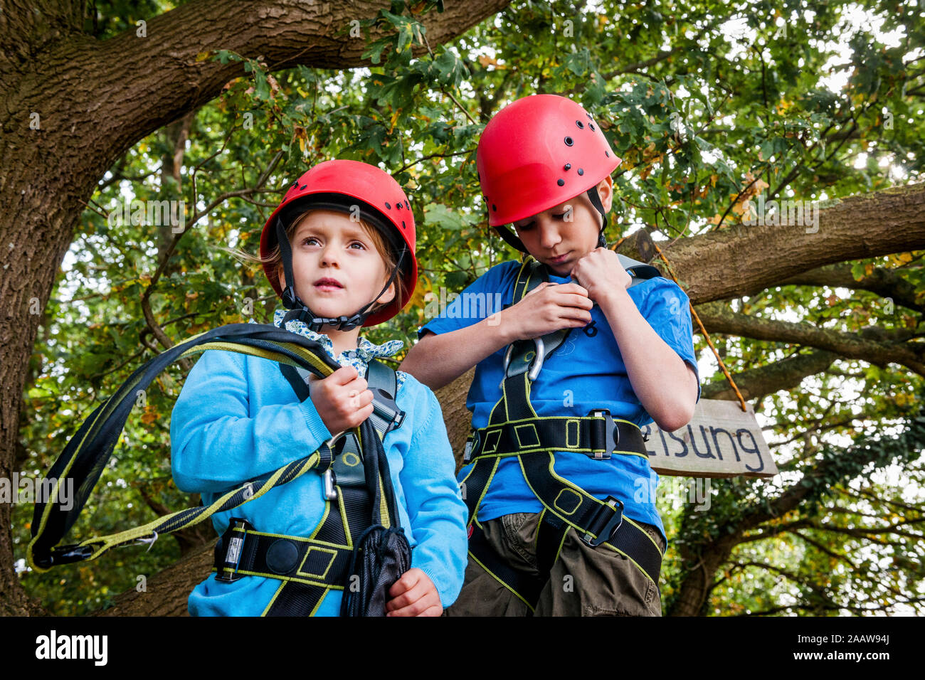Junge und Mädchen auf einem Hochseilgarten im Wald Stockfoto