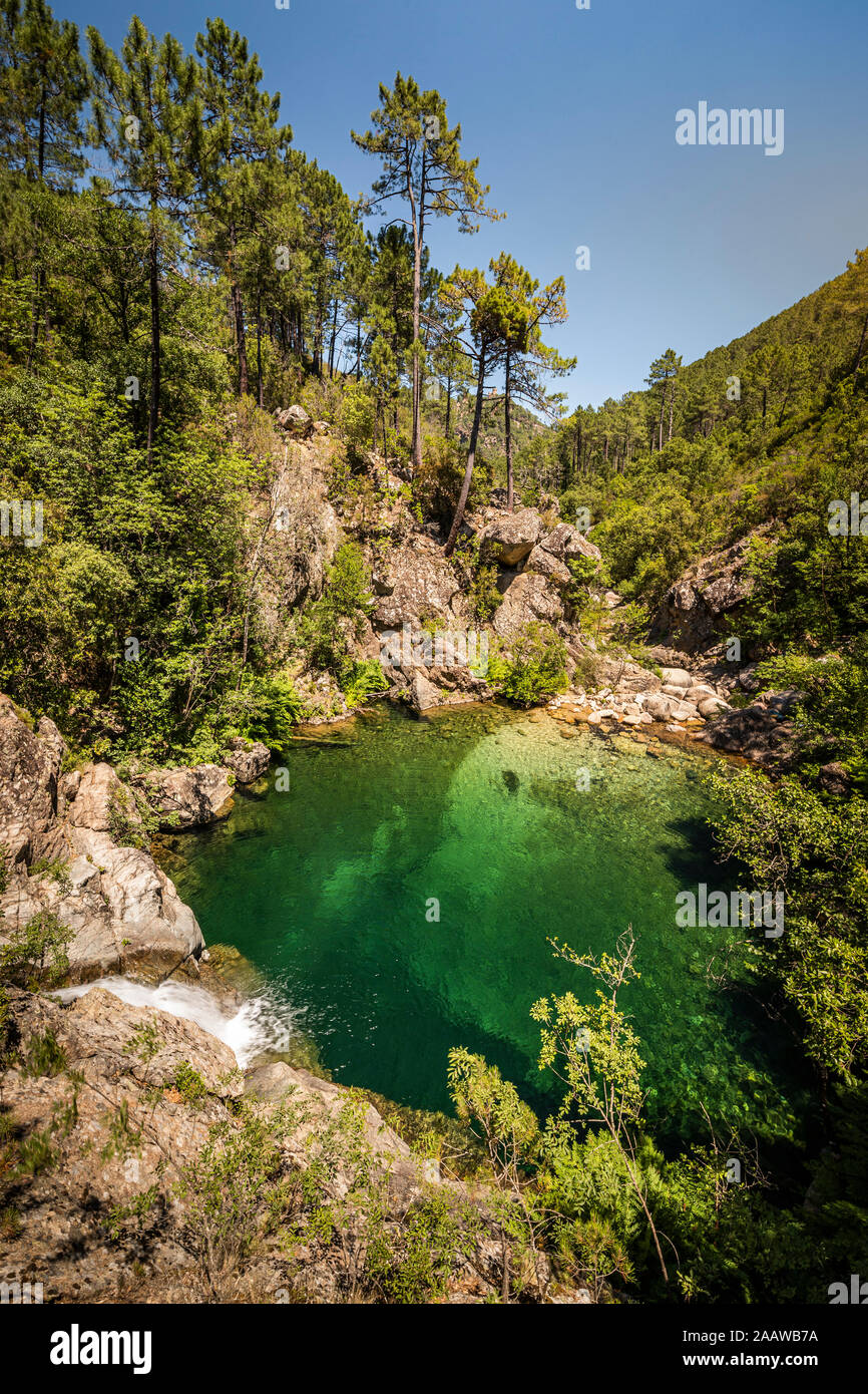 Wasserfall und Pool, Ruisseau de Polischellu, Corse-du-Sud, Korsika, Frankreich Stockfoto