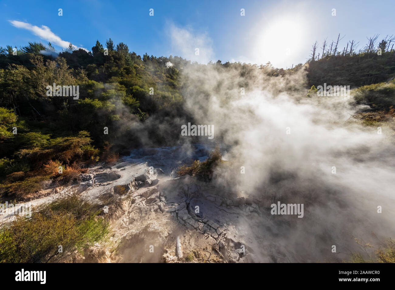 Orakei Korako geothermischen Park, Taupo Volcanic Zone, North Island, Neuseeland Stockfoto