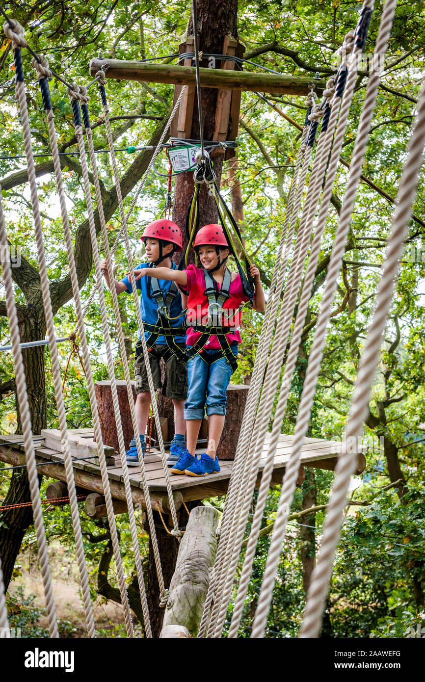 Junge und Mädchen auf einem Hochseilgarten im Wald Stockfoto