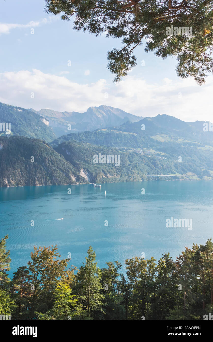 Schweiz, Gersau, Schwyz, malerischer Blick auf den See Luzern im Sommer Stockfoto