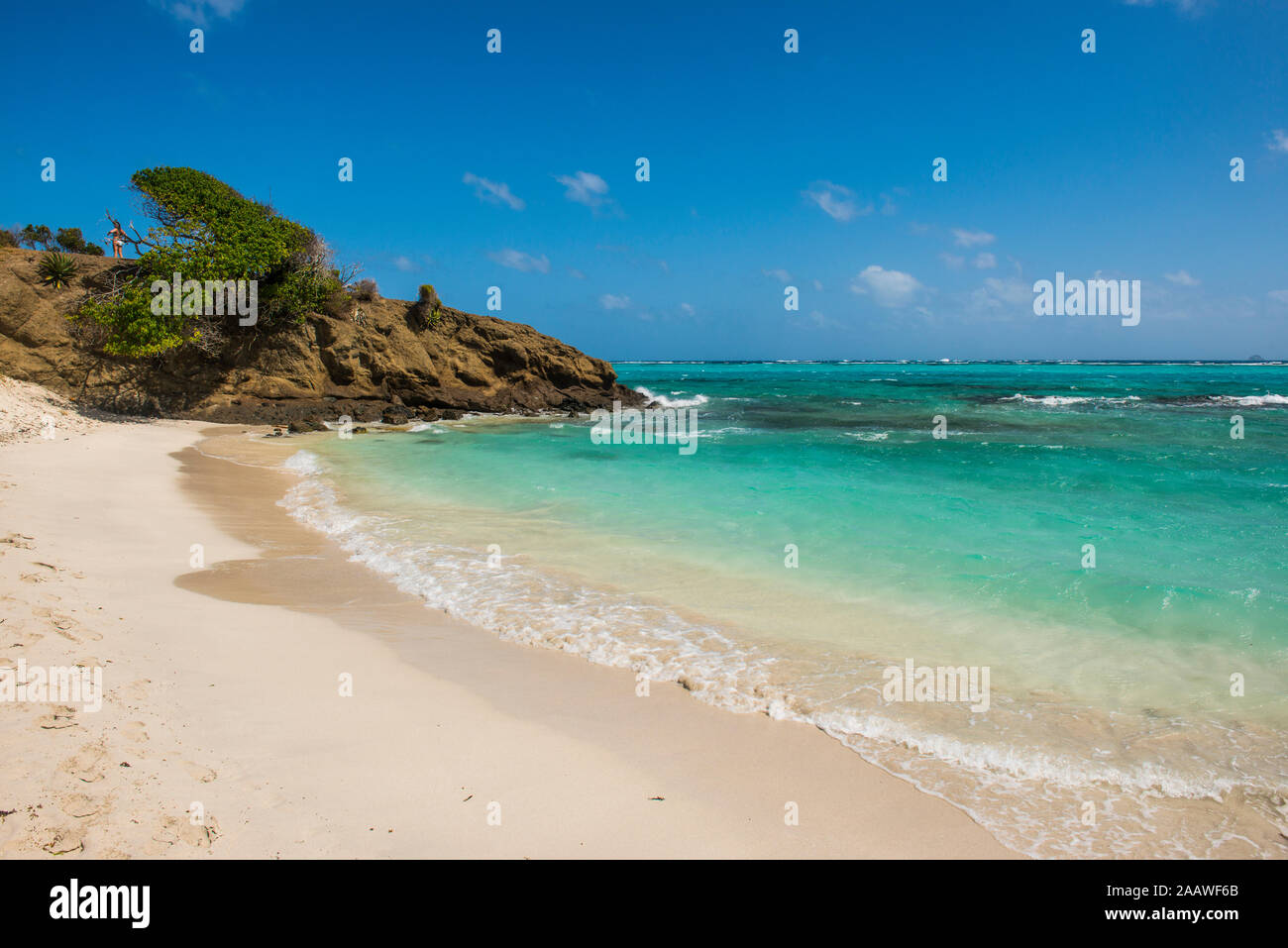 Malerischer Blick auf weißen Sand Strand in Tobago Cays, St. Vincent und die Grenadinen, Karibik Stockfoto