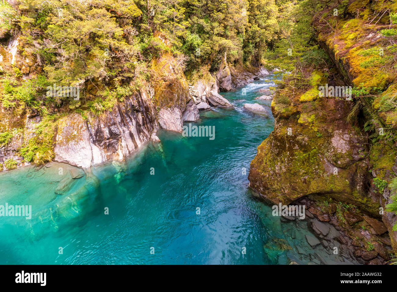 Makarora River, Südinsel, Neuseeland Stockfoto