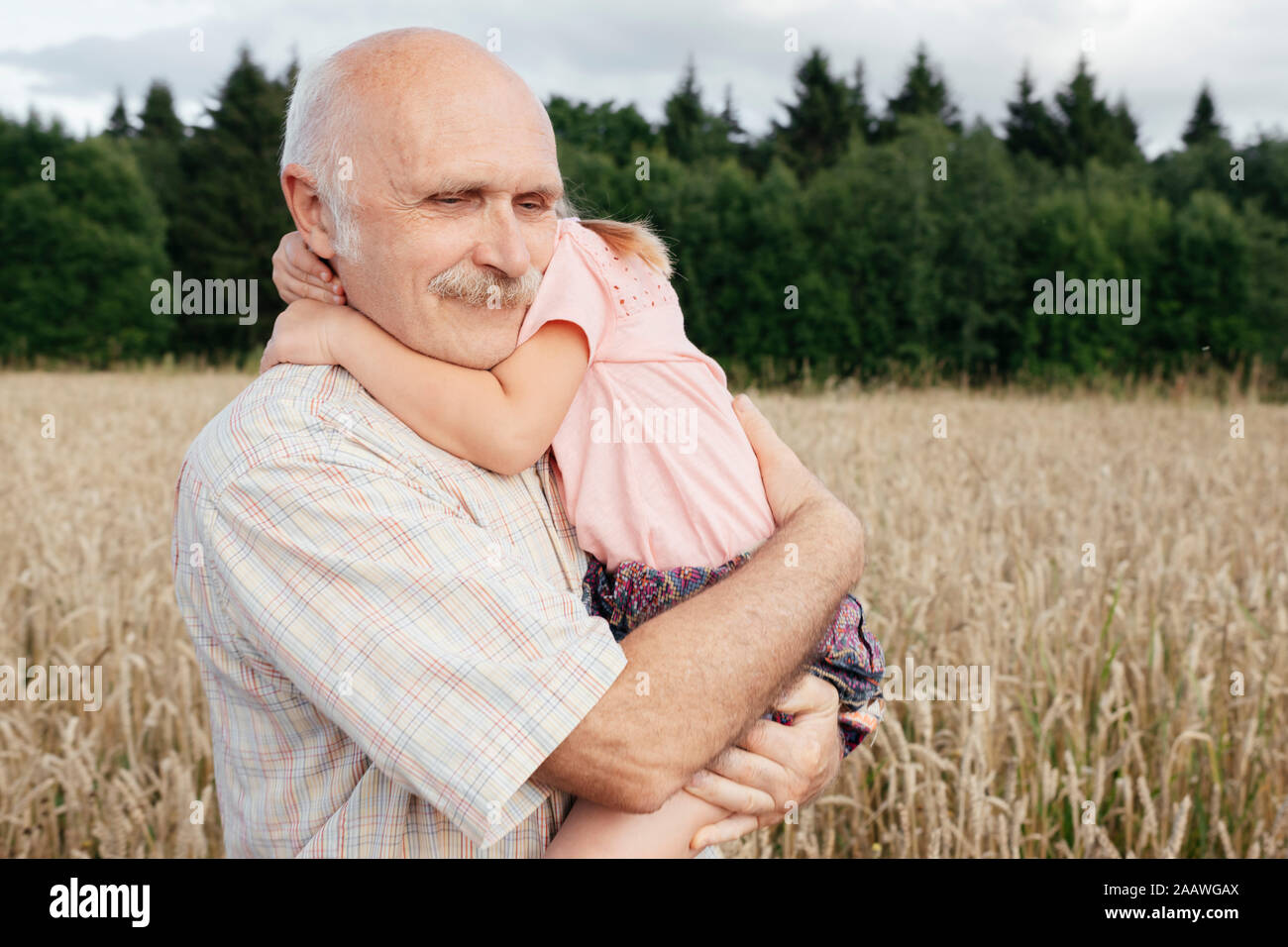 Portrait von älteren Menschen in einem oat Feld die Enkelin auf seinen Armen Stockfoto