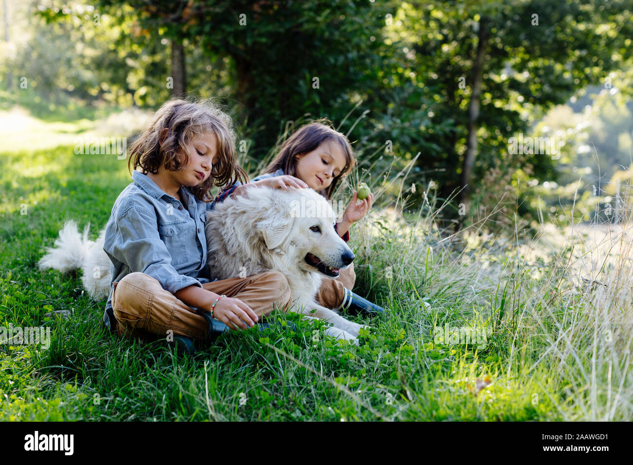 Zwei Kinder entspannen mit Hund auf einer Wiese Stockfoto