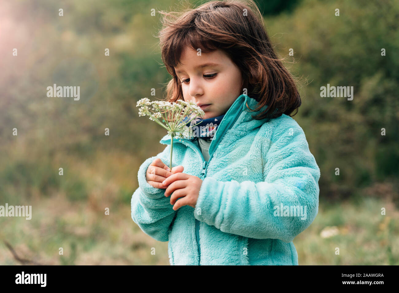 Portrait von kleinen Mädchen mit Wildblumen im Herbst Stockfoto