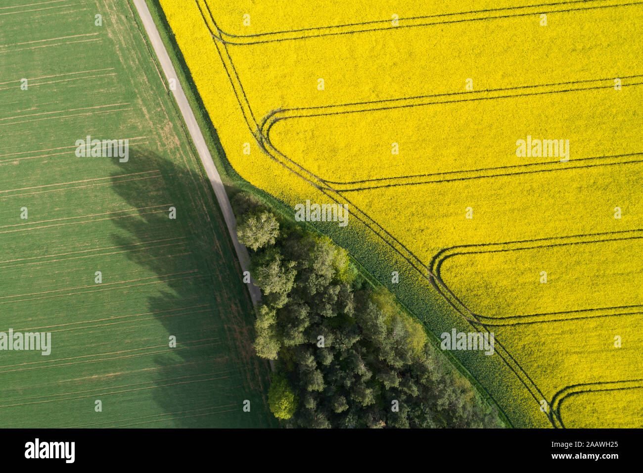 Deutschland, Bayern, Luftaufnahme von Schmutz der Straße zwischen Raps und Weizen Felder im Frühling Stockfoto