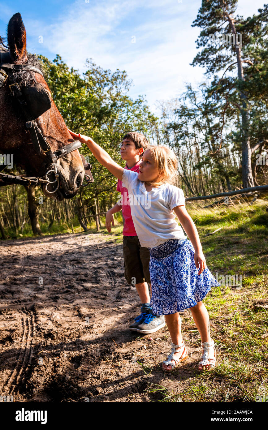 Junge und Mädchen streicheln ein Pferd Stockfoto