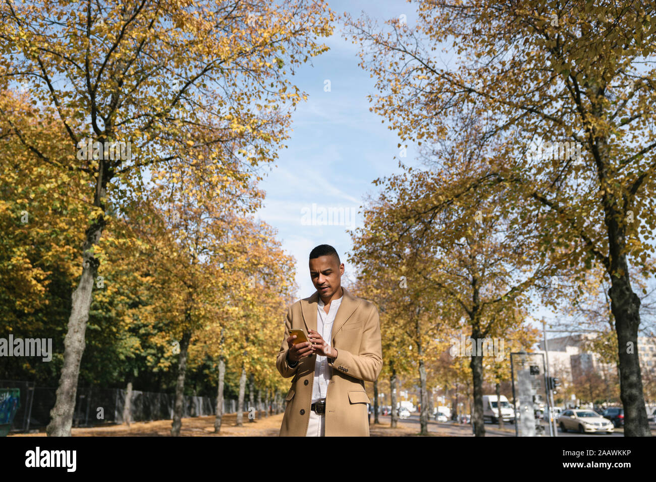 Portrait von Geschäftsmann mit Smartphone im Herbst Stockfoto
