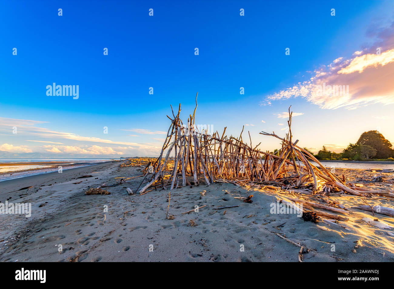 Hütte mit driftwoods am Strand gegen den blauen Himmel, Motueka, Südinsel, Neuseeland Stockfoto