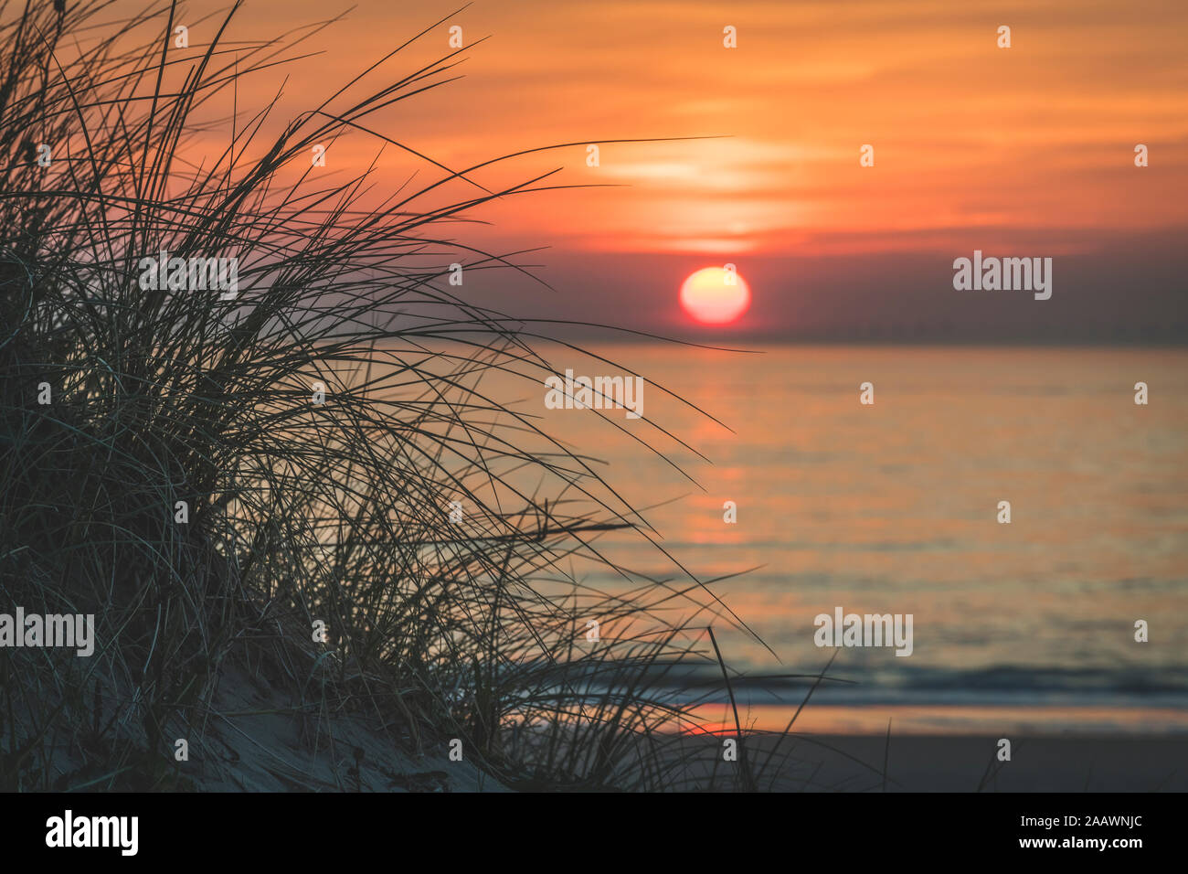 Niederlande, Südholland, Noordwijk, Meer bei Sonnenuntergang Stockfoto