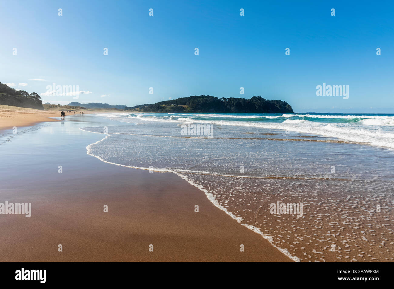 Neuseeland, Nordinsel, Waikato, Kuaotunu, malerischen Blick auf Meer Strand Stockfoto