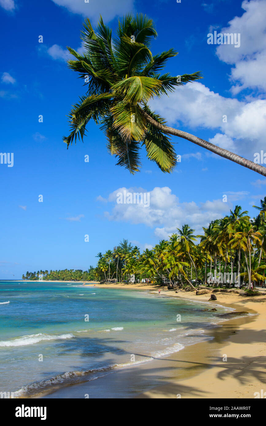 Malerischer Blick auf Casablanca beach gegen den blauen Himmel, Las Terrenas, Dominikanische Republik Stockfoto