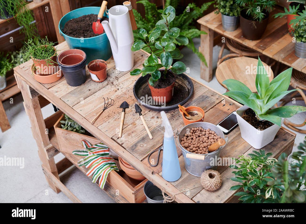 Holztisch mit Topfpflanzen und Gartengeräte auf einer Terrasse Stockfoto