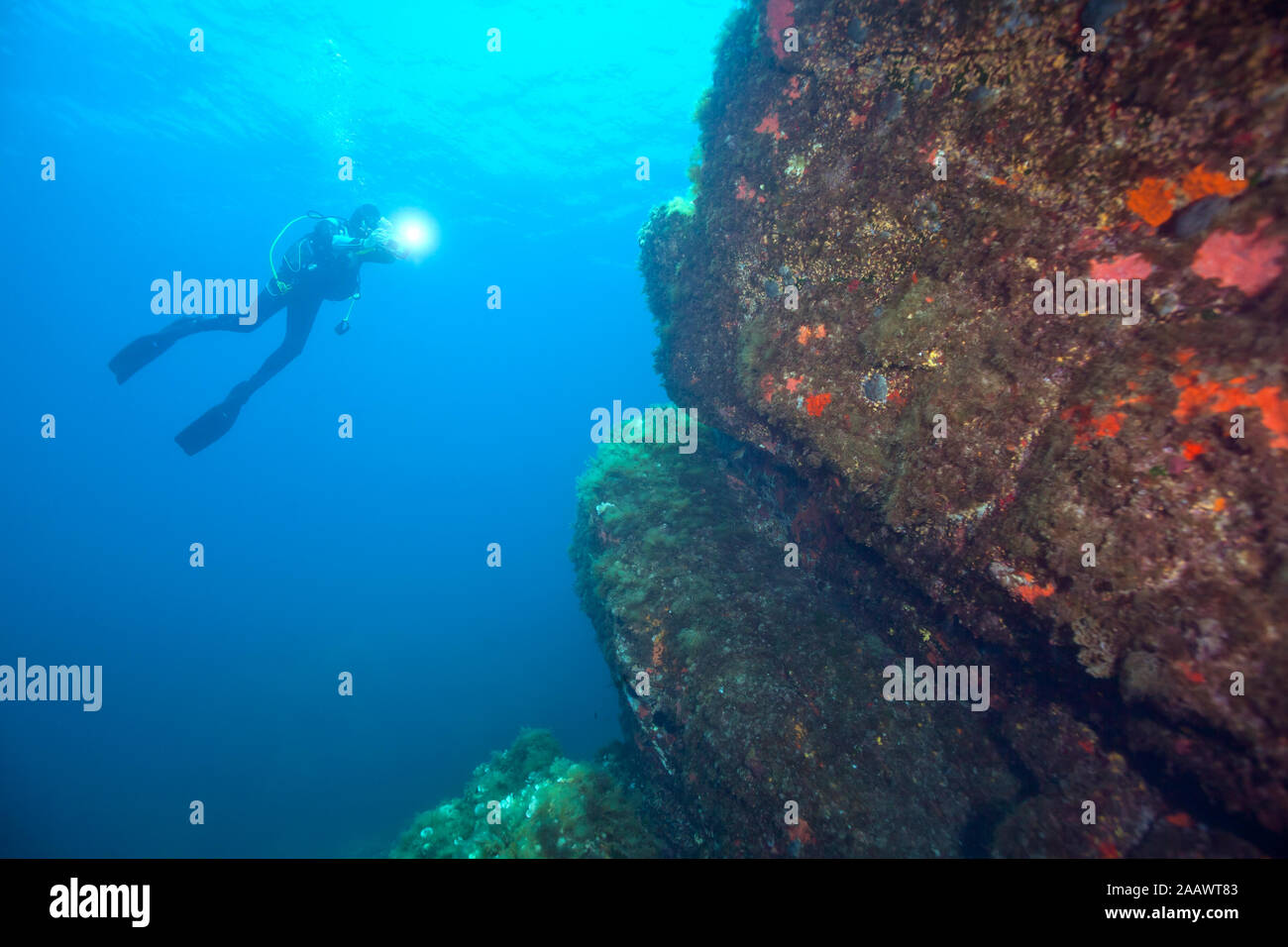 Frankreich, Korsika, Sagone, Unterwasser Blick auf Scuba Diver mit Taschenlampe Stockfoto