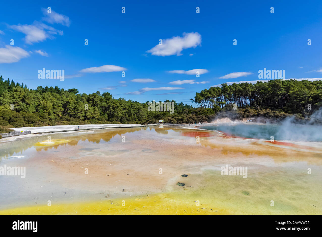 Artist's Palette, Wai-O-Tapu Thermal Wonderland, Taupo Volcanic Zone, North Island, Neuseeland Stockfoto