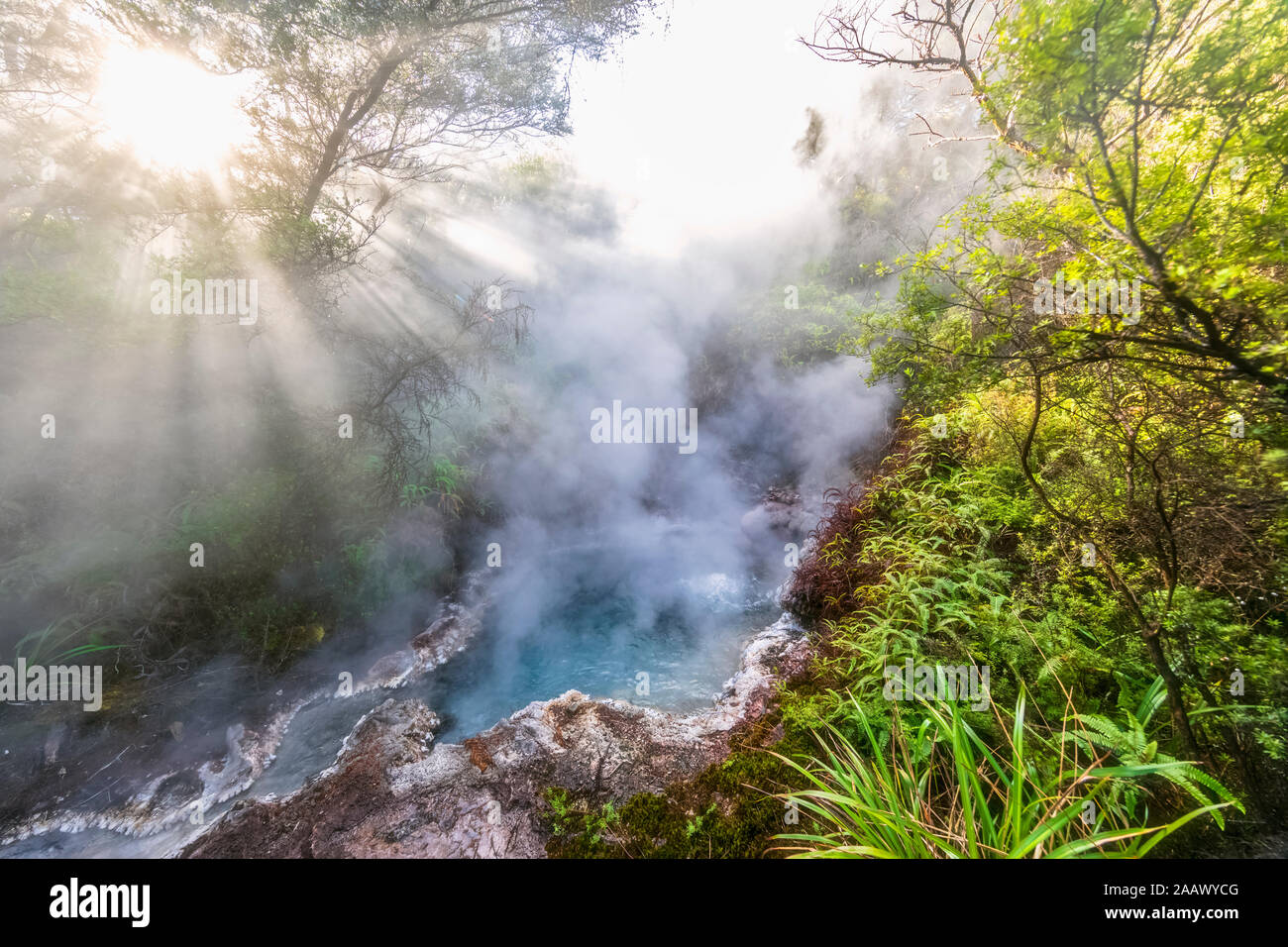 Soda Fountain, Orakei Korako geothermischen Park, Taupo Volcanic Zone, North Island, Neuseeland Stockfoto