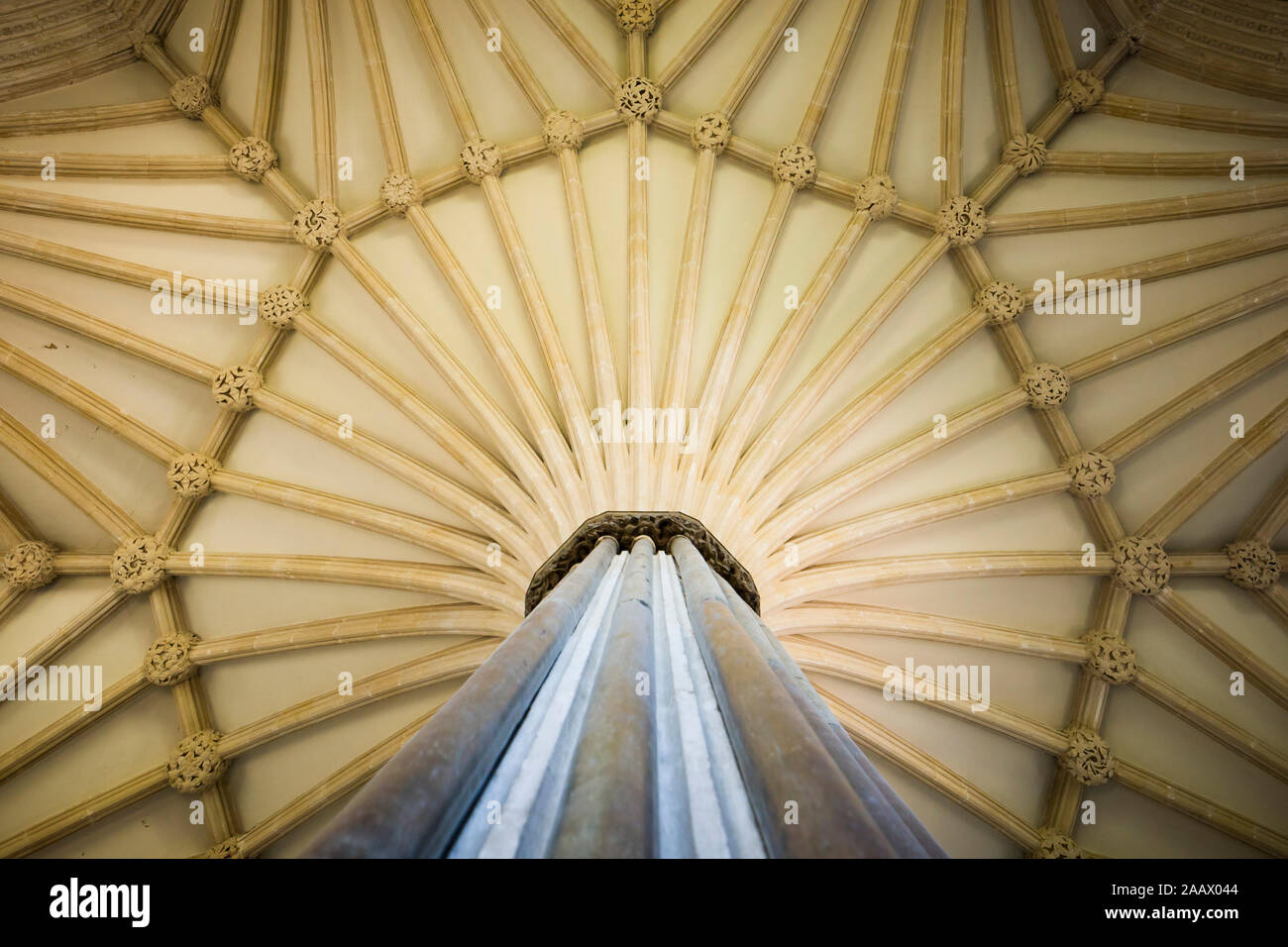 Die Thirteenth-Century Kapitel Haus der Kathedrale von Wells, Somerset, UK, mit markanten Vaulting. Stockfoto