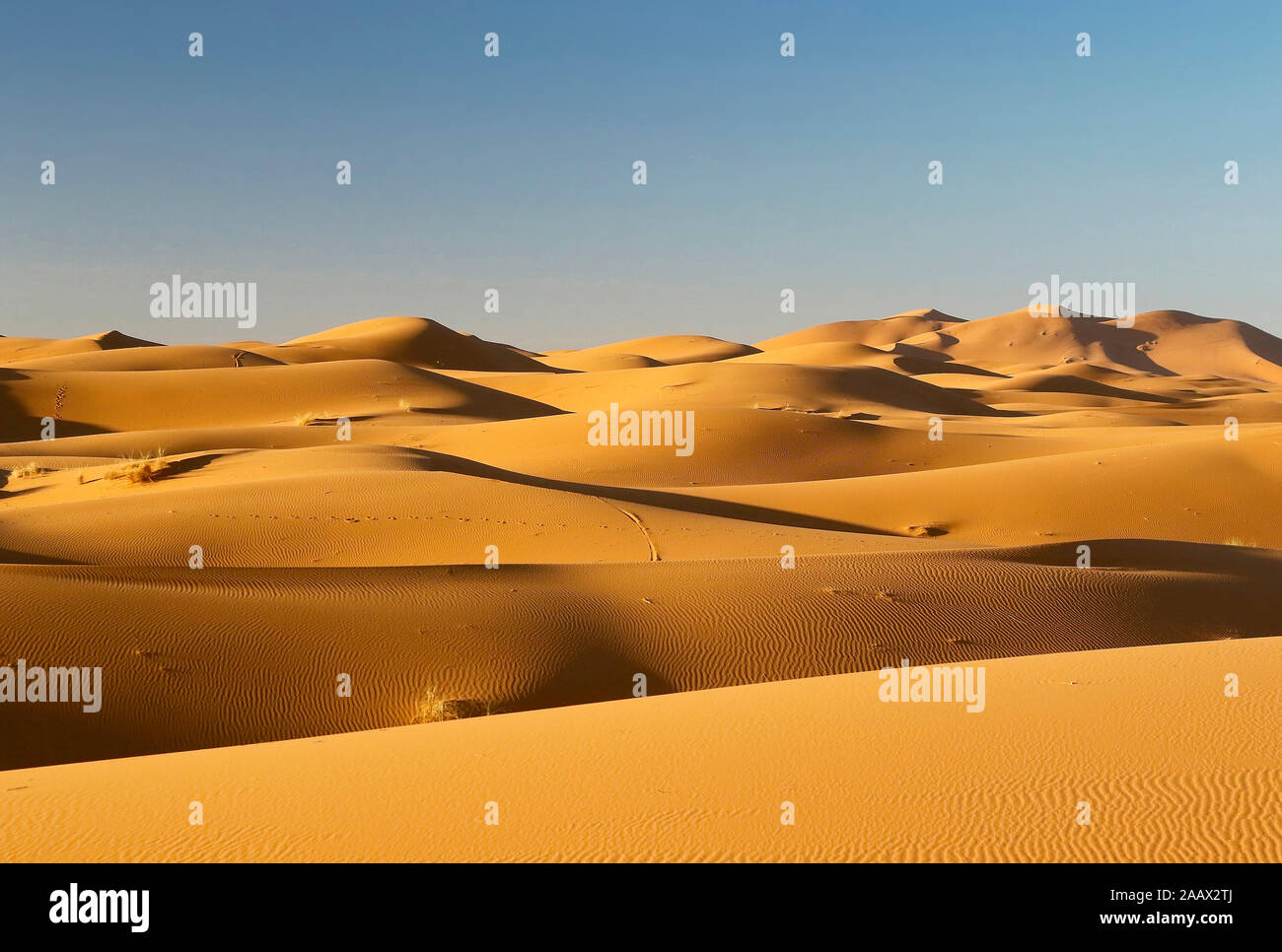Erg Chebbi, Merzouga, Ziz Tal, Wüste Sahara, Marokko Stockfoto