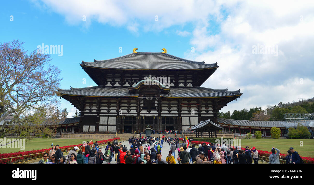 Nara, Japan - Apr 10, 2019. Menschen besuchen den Todaiji Tempel in Nara, Japan. Todai-ji ist Nara beliebteste Touristenattraktion und ein UNESCO-Weltkulturerbe, Sitzen Stockfoto