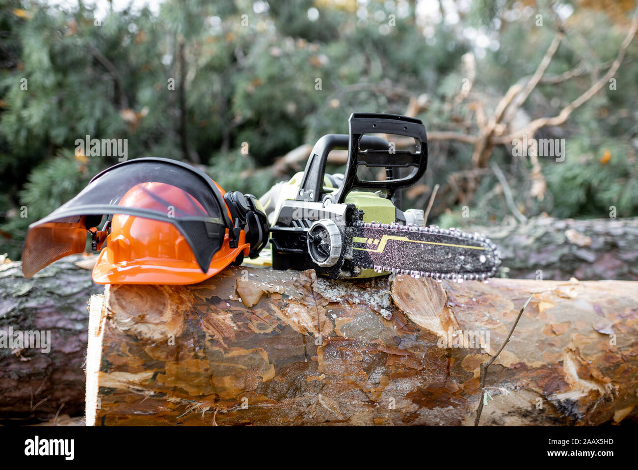 Elektrische Kettensäge und schützende hardhat auf das Holz im Wald anmelden, Konzept eines professionellen Logging mit Kettensäge Stockfoto