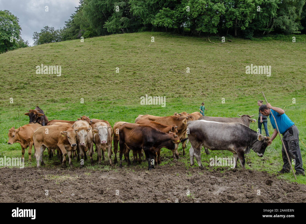 Das Leben auf einem Bauernhof Stockfoto