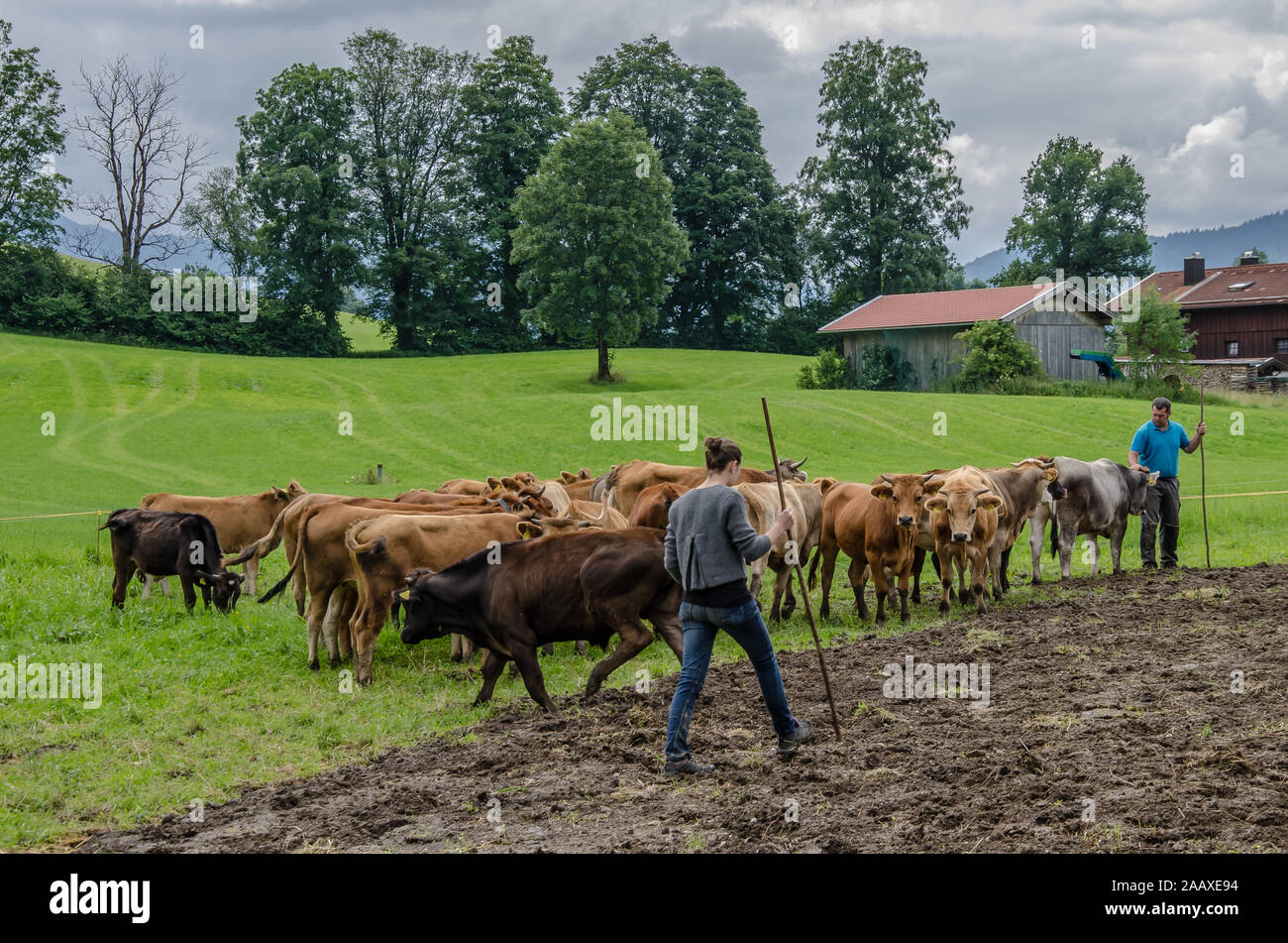 Das Leben auf einem Bauernhof Stockfoto