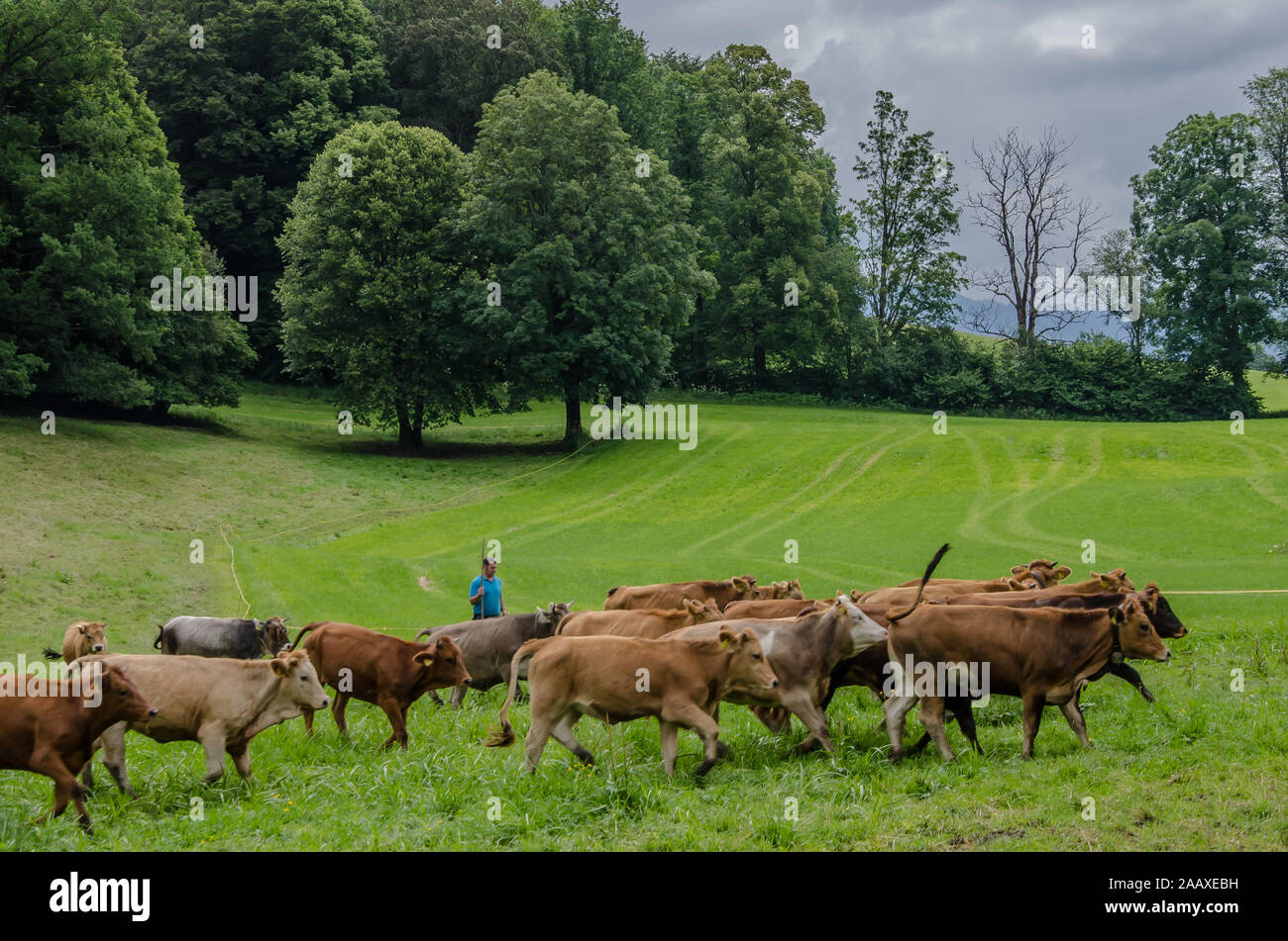 Das Leben auf einem Bauernhof Stockfoto