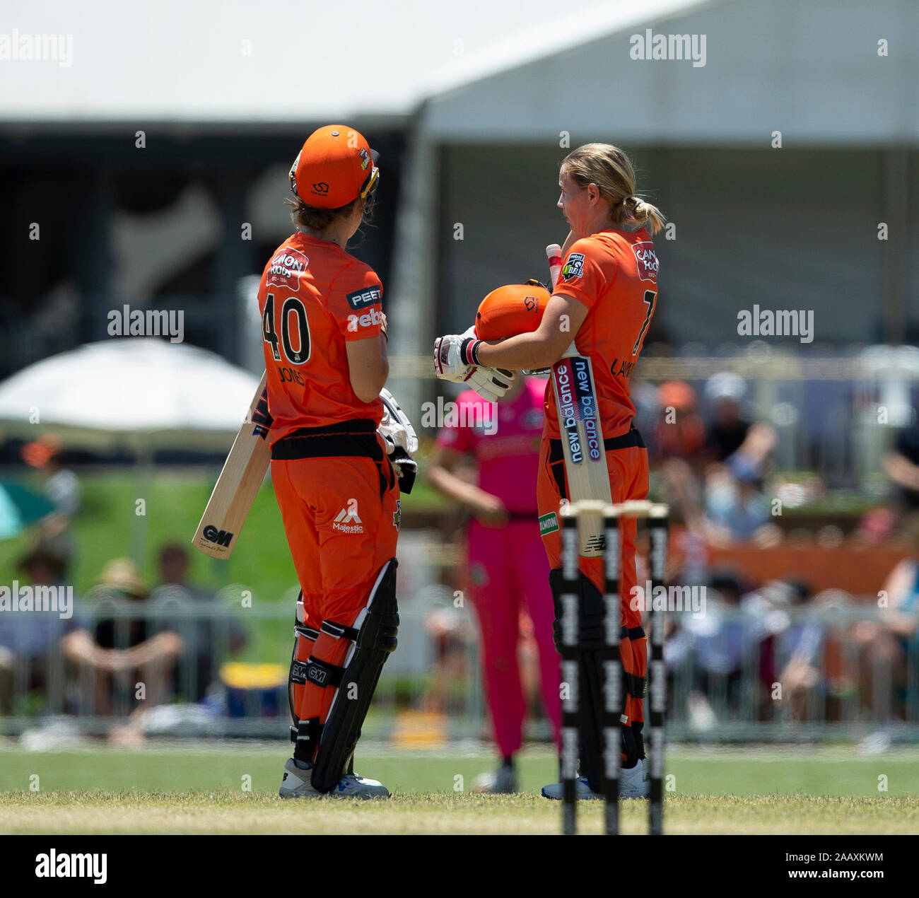 Perth, Australien. 24 Nov, 2019. 24. November 2019; Lila Hill Park, Perth, Western Australia, Australien; der Frauen Big Bash League Cricket, Perth Scorchers versus Sydney Sixers; Meg Lanning und Amy Jones von der Perth Scorchers treffen sich in der Mitte der Pitch während ihrer Partnerschaft - Redaktionelle Verwendung Credit: Aktion Plus Sport Bilder/Alamy leben Nachrichten Stockfoto