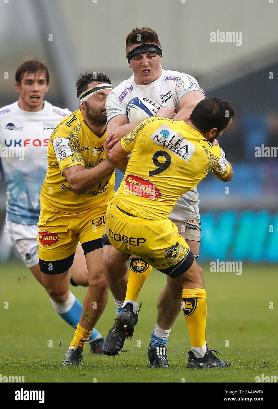 Verkauf Haifische Tom Curry von La Rochelle Alexi Ballen und Jeremy Sinzelle (links) Während der Heineken Champions Cup Runde 2 Spiel in der AJ Bell Stadium, Salford angegangen wird. Stockfoto