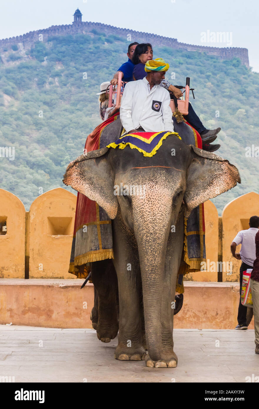 Elefanten, die Touristen zum Fort Amber in Jaipur, Indien Stockfoto