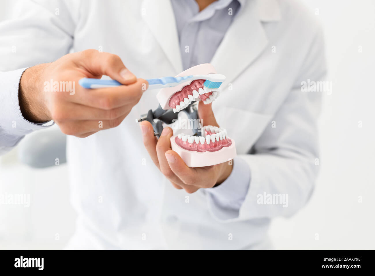 Nahaufnahme der zahnmedizinischen Backen aus Kunststoff in Zahnarzt Hände Stockfoto