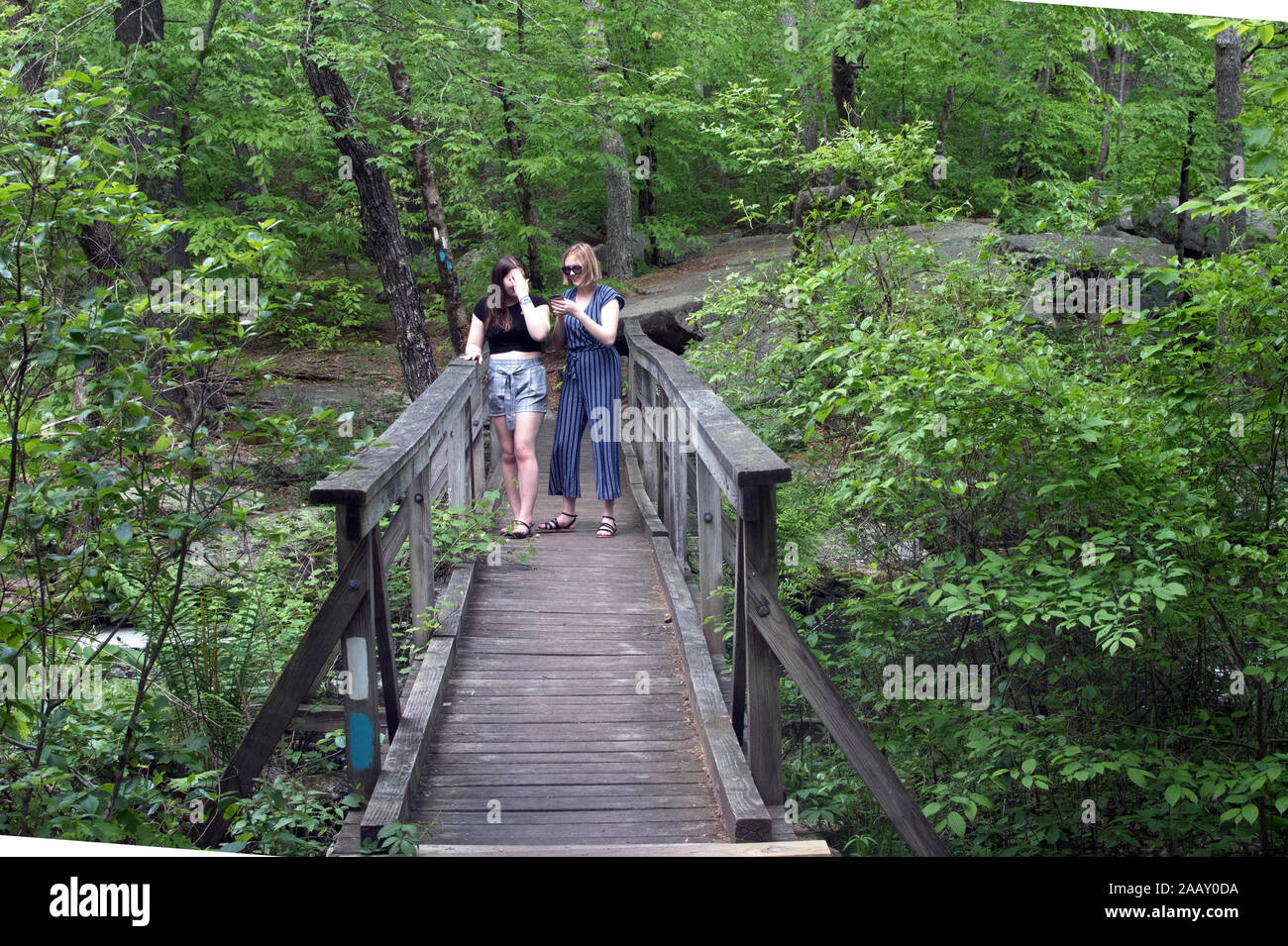 Mädchen auf Holzbrücke Stockfoto