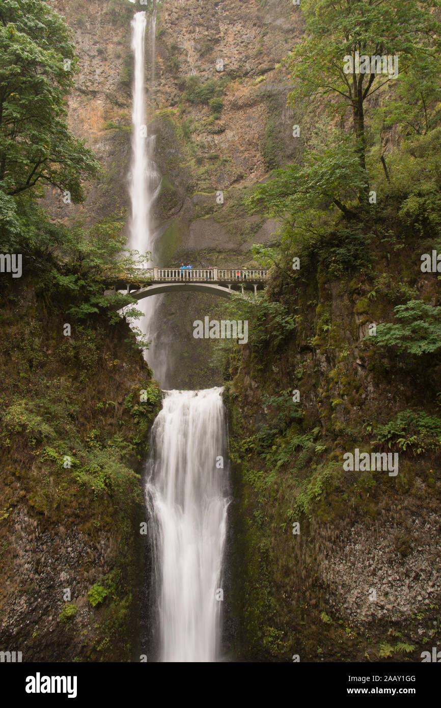 Wahkeena fällt, in der Nähe von Portland, Oregon Stockfoto