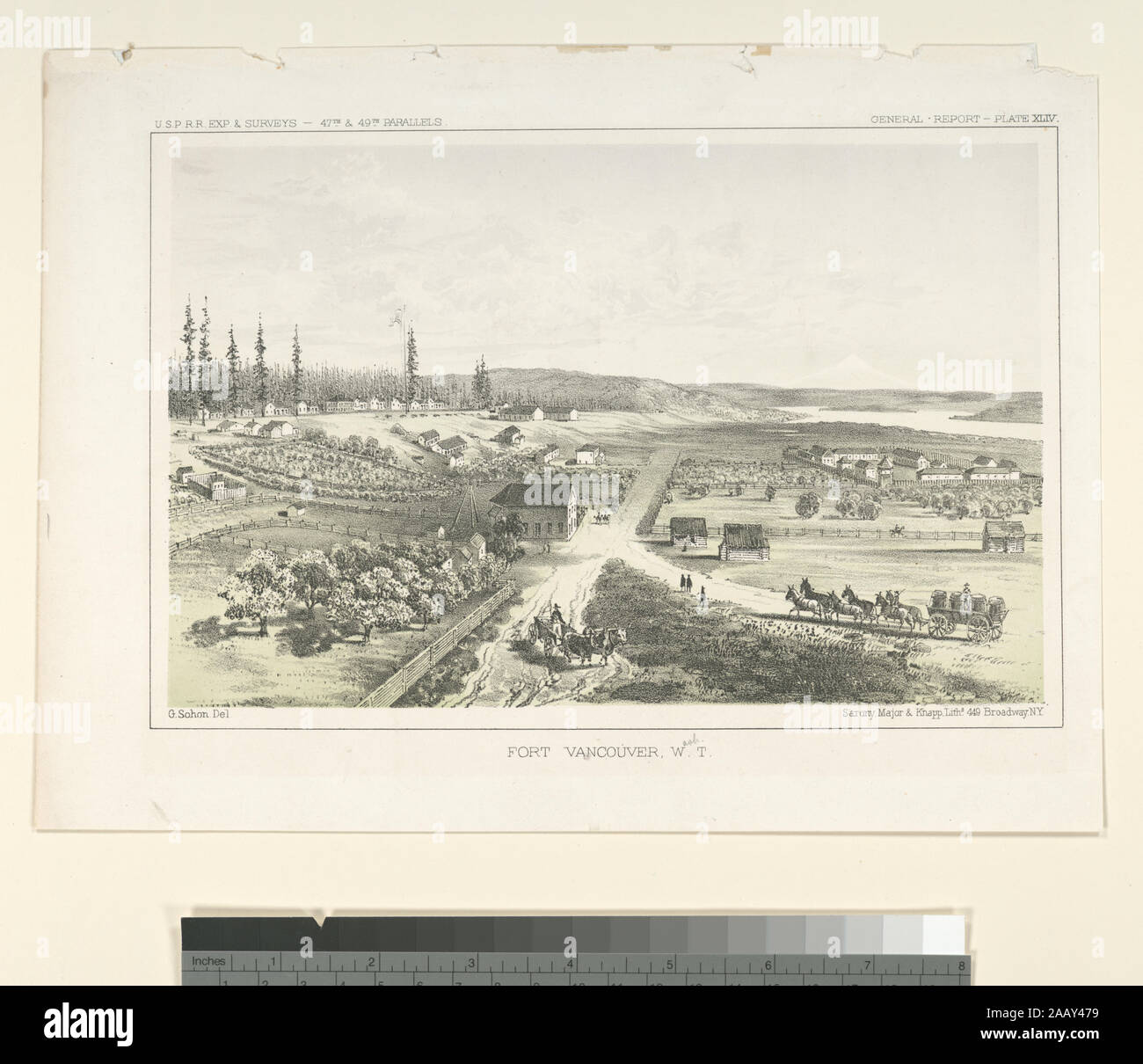 Fort Vancouver, WT USPRR Exp und Umfragen - 47th und 49th Parallels Allgemeine Report-Plate XLIV Deák 673 von US Krieg Abteilung, Berichte von Erkundungen und Befragungen, um zu ermitteln, die praktikabelste und wirtschaftlichste Route für eine Eisenbahn von der Mississippi River in den Pazifik, 13 Bde., Washington, 1855-1860, Vol.12, Pt. 1, zwischen S. 154 und 155. Stokes 1853 - G-43 ein; Fort Vancouver, W.T. U.S.P.R.R. Exp. und Umfragen - 47th und 49th Parallelen. Allgemeine Report-Plate XLIV. Stockfoto