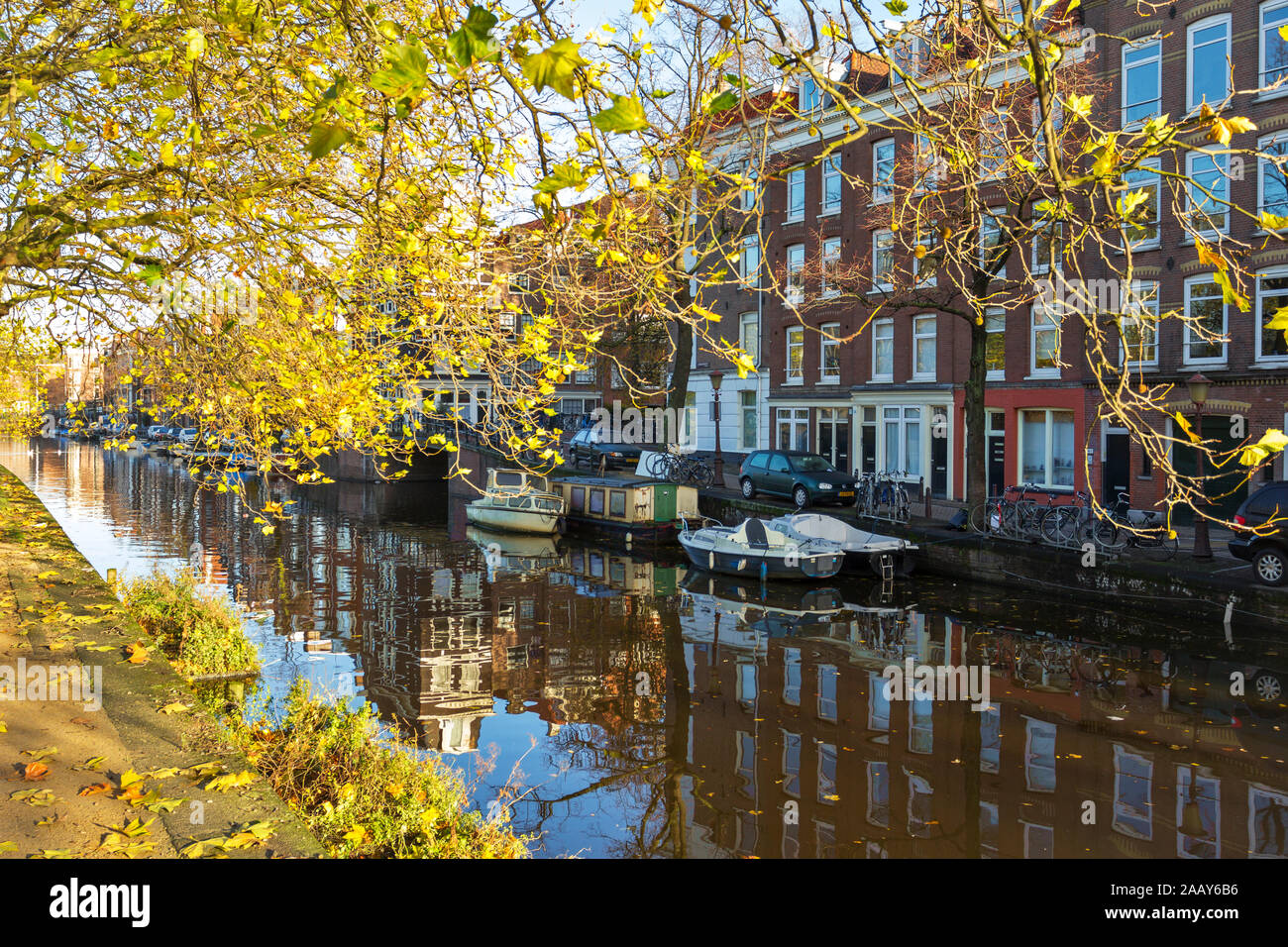 AMSTERDAM HOLLAND CANAL IM HERBST mit den goldenen Blätter an den Bäumen und Ästen HÄNGEND ÜBER DEM WASSER Stockfoto